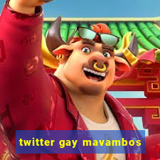 twitter gay mavambos